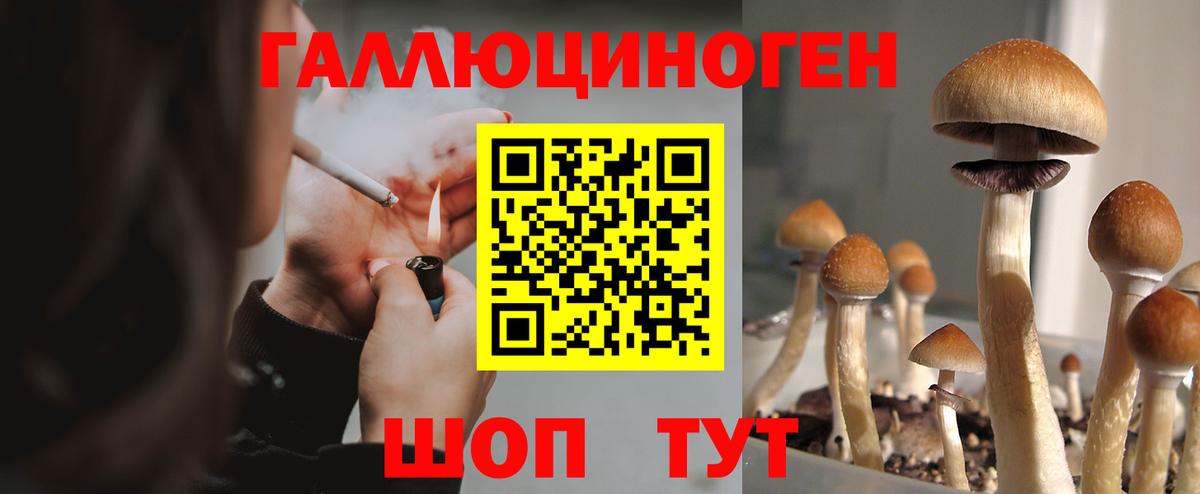 Тавда  Псилоцибиновые грибы GOLDEN TEACHER  Вход с VPN  даркнет сайт  Псилоцибиновые грибы Psilocybe 
